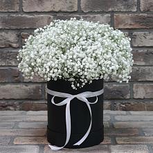 Цветочная композиция из Гипсофила в шляпной коробке в Солдатской