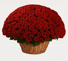 Премиум букет из: Розы в Солдатской