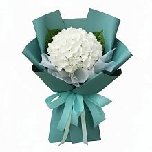 Букет цветов из:  Гортензия #REPLACE_PRED# Солдатской